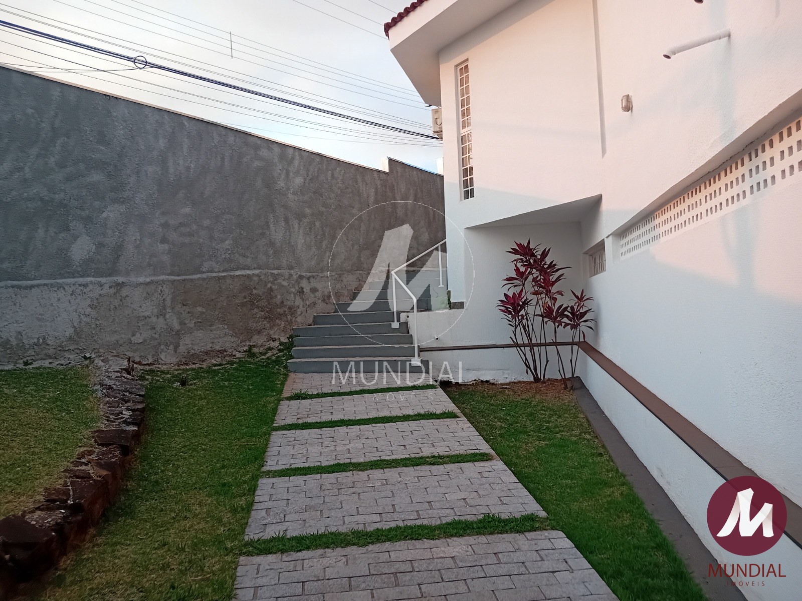 Quintal/corredores — foto 21