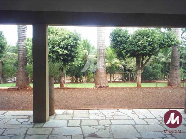 Quintal/corredores — foto 18