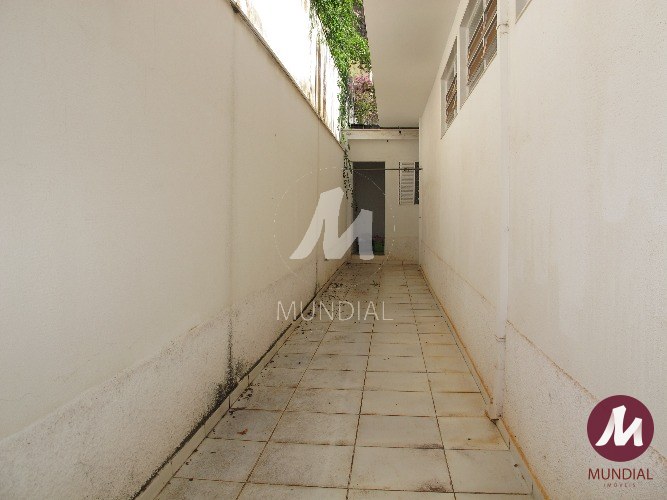 Quintal/corredores — foto 19