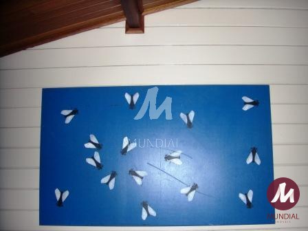 Outras — foto 7
