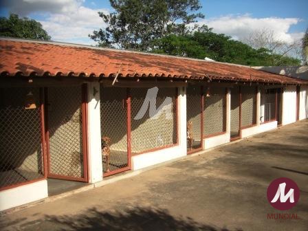 Outras — foto 13