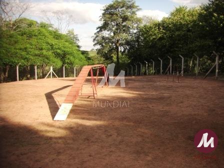 Outras — foto 15