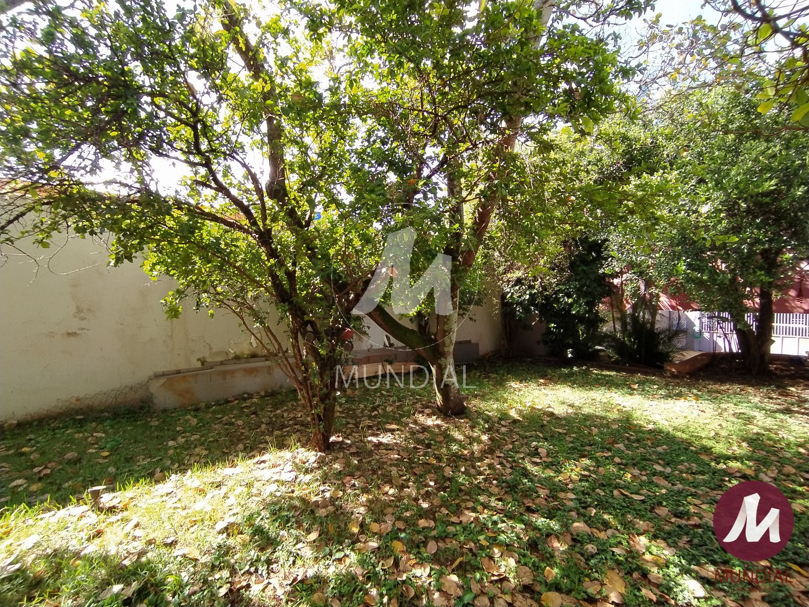 Jardim — foto 37