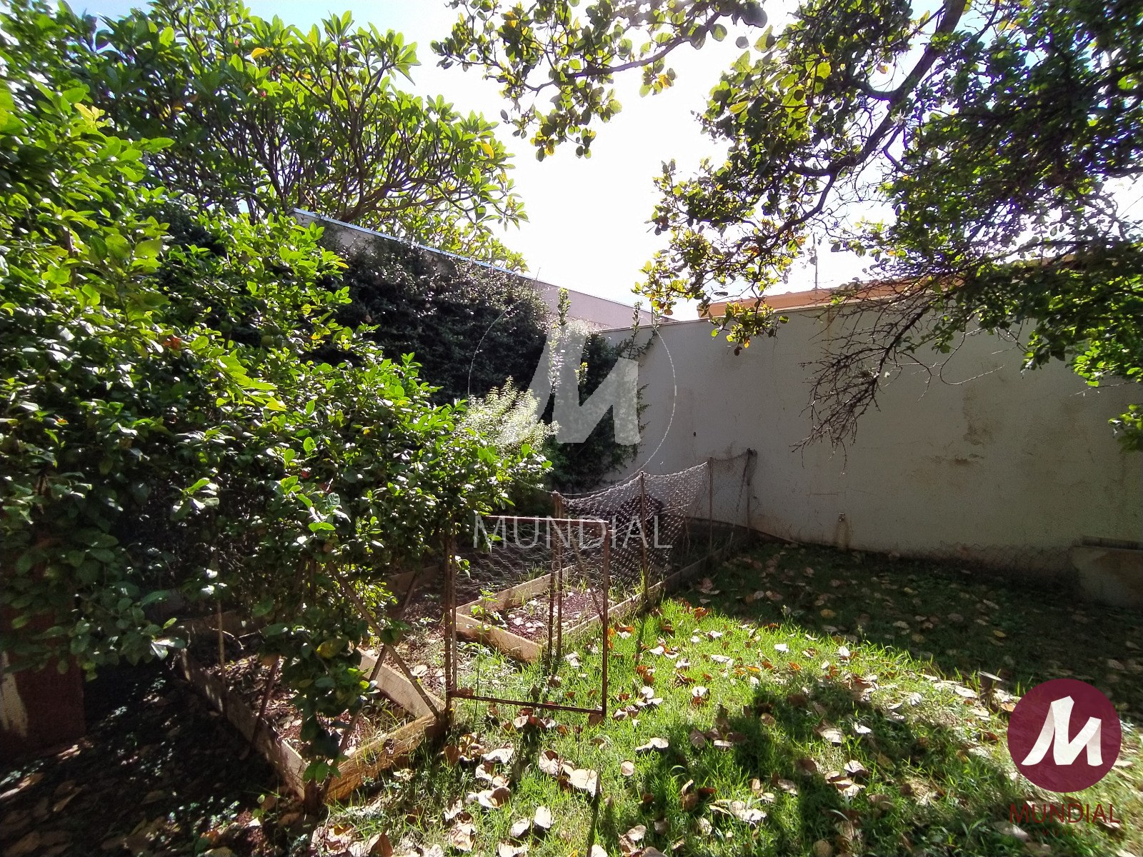 Jardim — foto 38