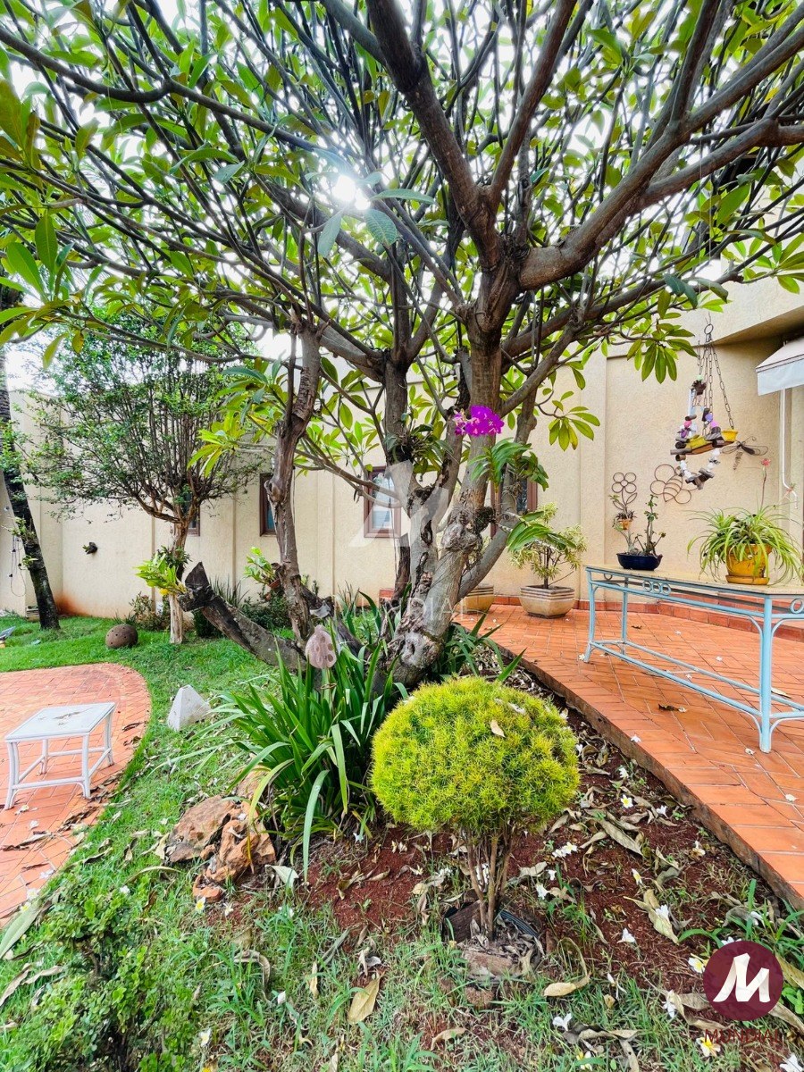 Jardim — foto 26