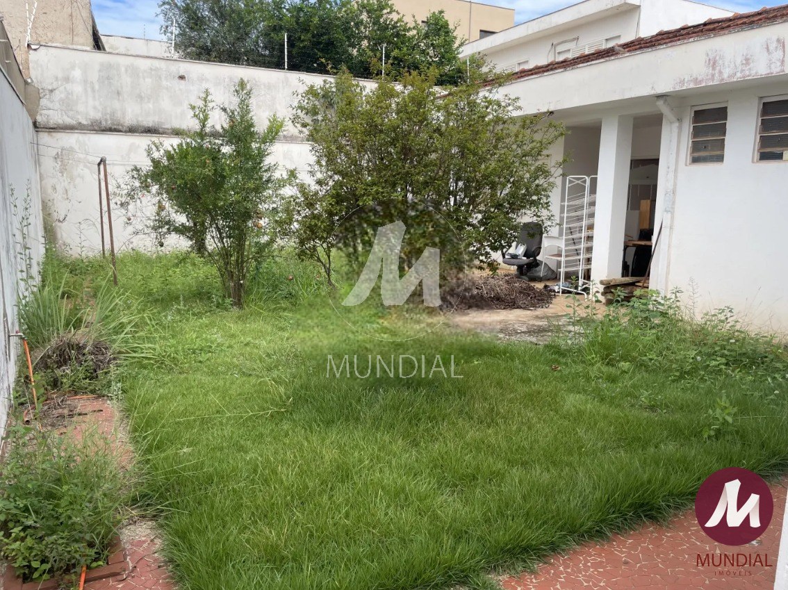 Quintal/corredores — foto 23