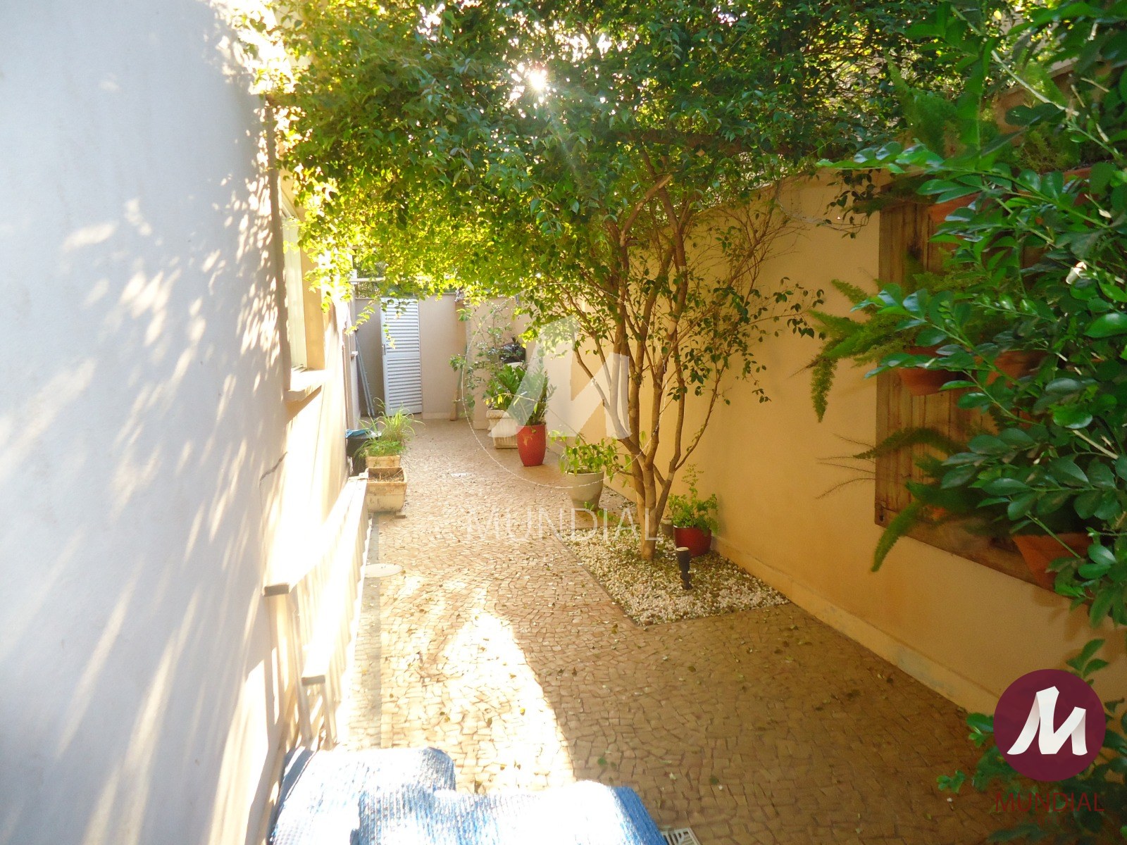 Quintal/corredores — foto 49