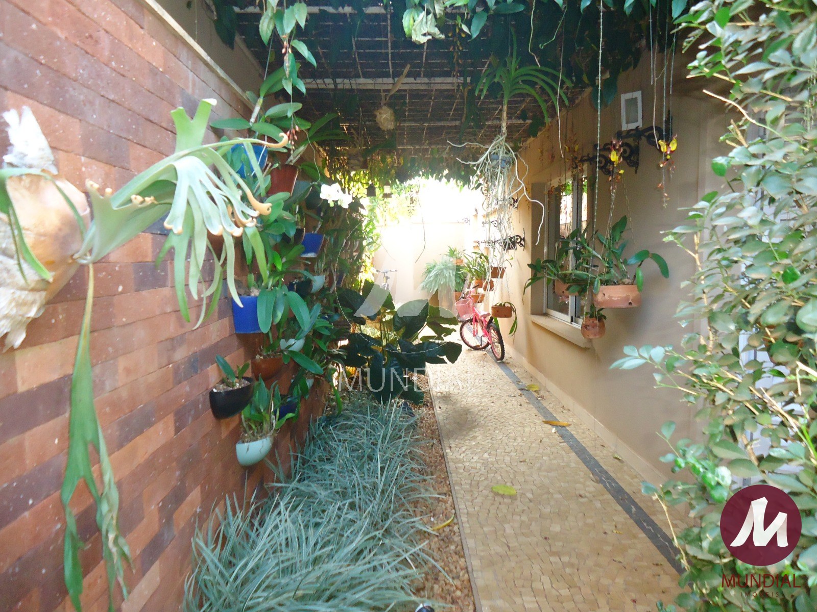 Quintal/corredores — foto 56