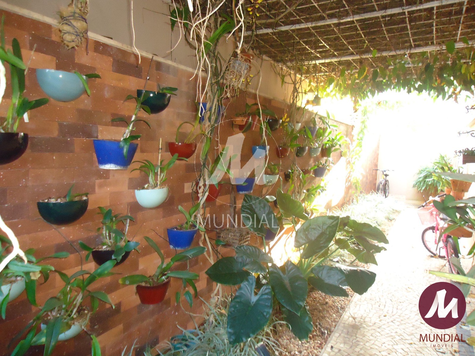 Quintal/corredores — foto 57