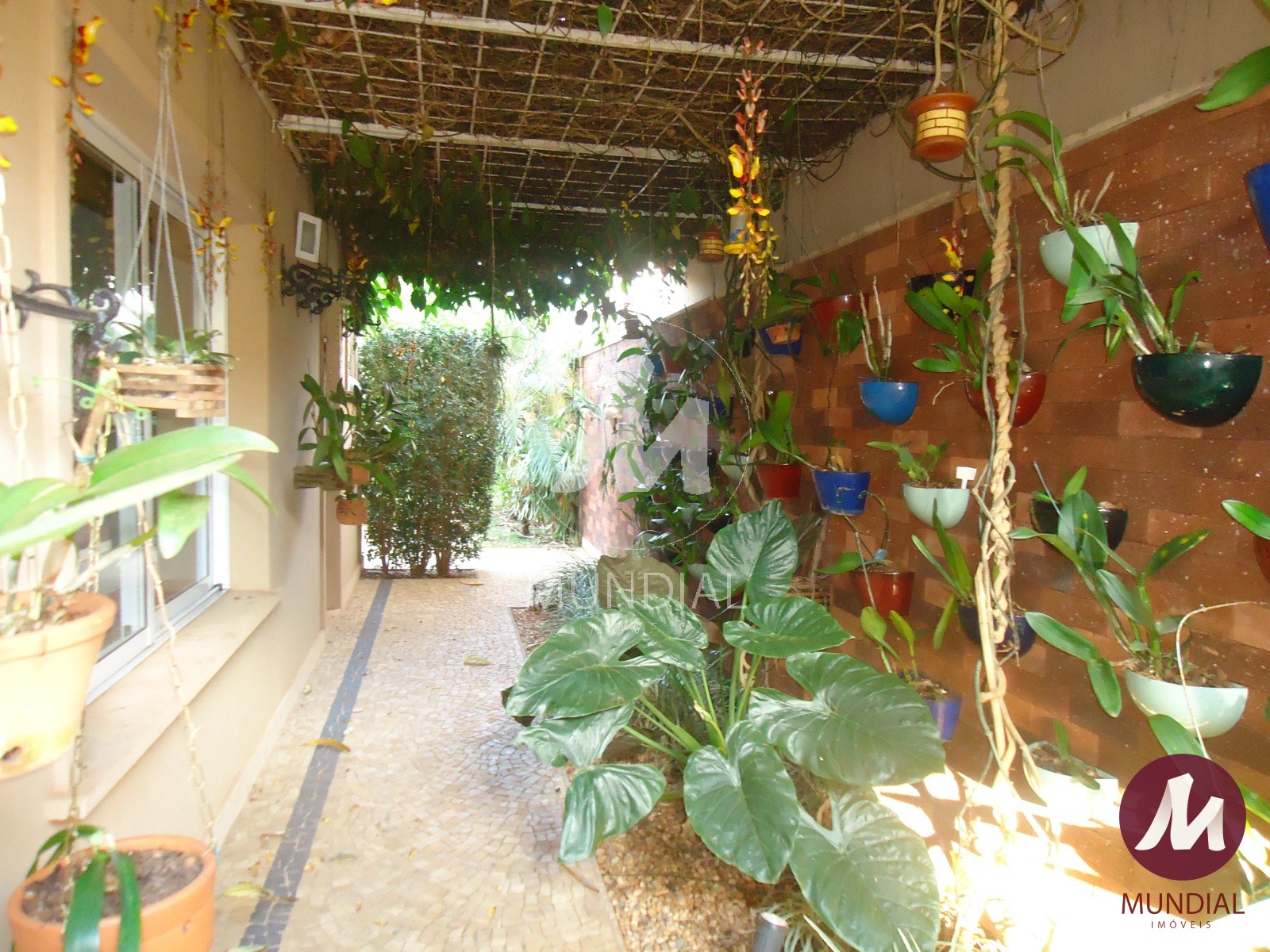 Quintal/corredores — foto 59