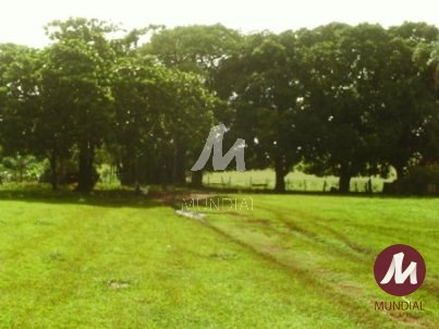 Outras — foto 2