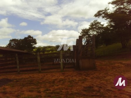 Outras — foto 8