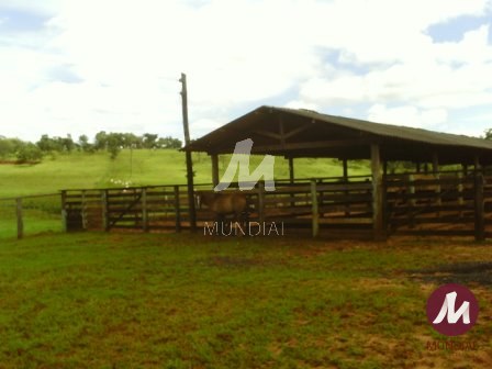 Outras — foto 9