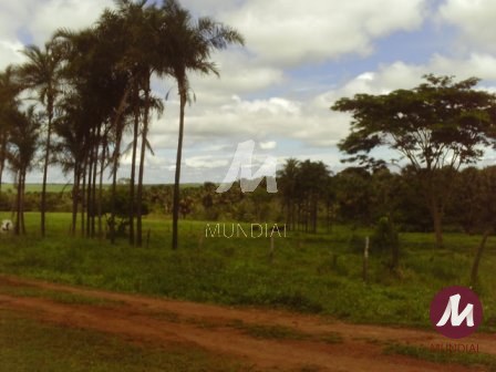 Outras — foto 17