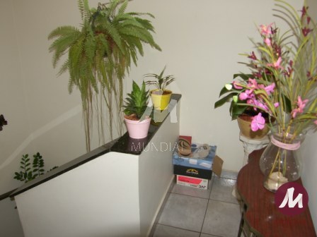 Outras — foto 11