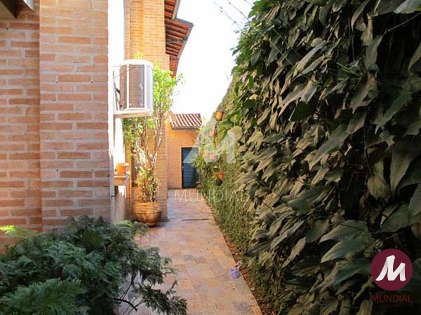 Quintal/corredores — foto 10