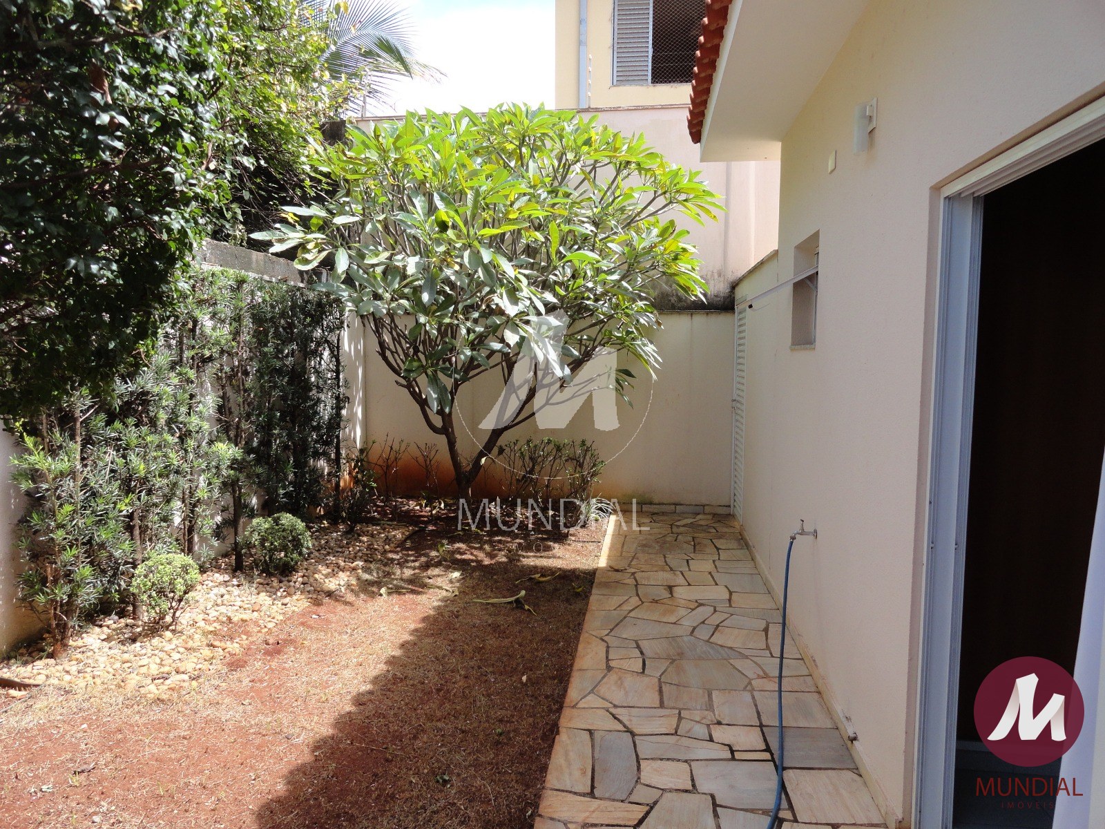 Quintal/corredores — foto 33