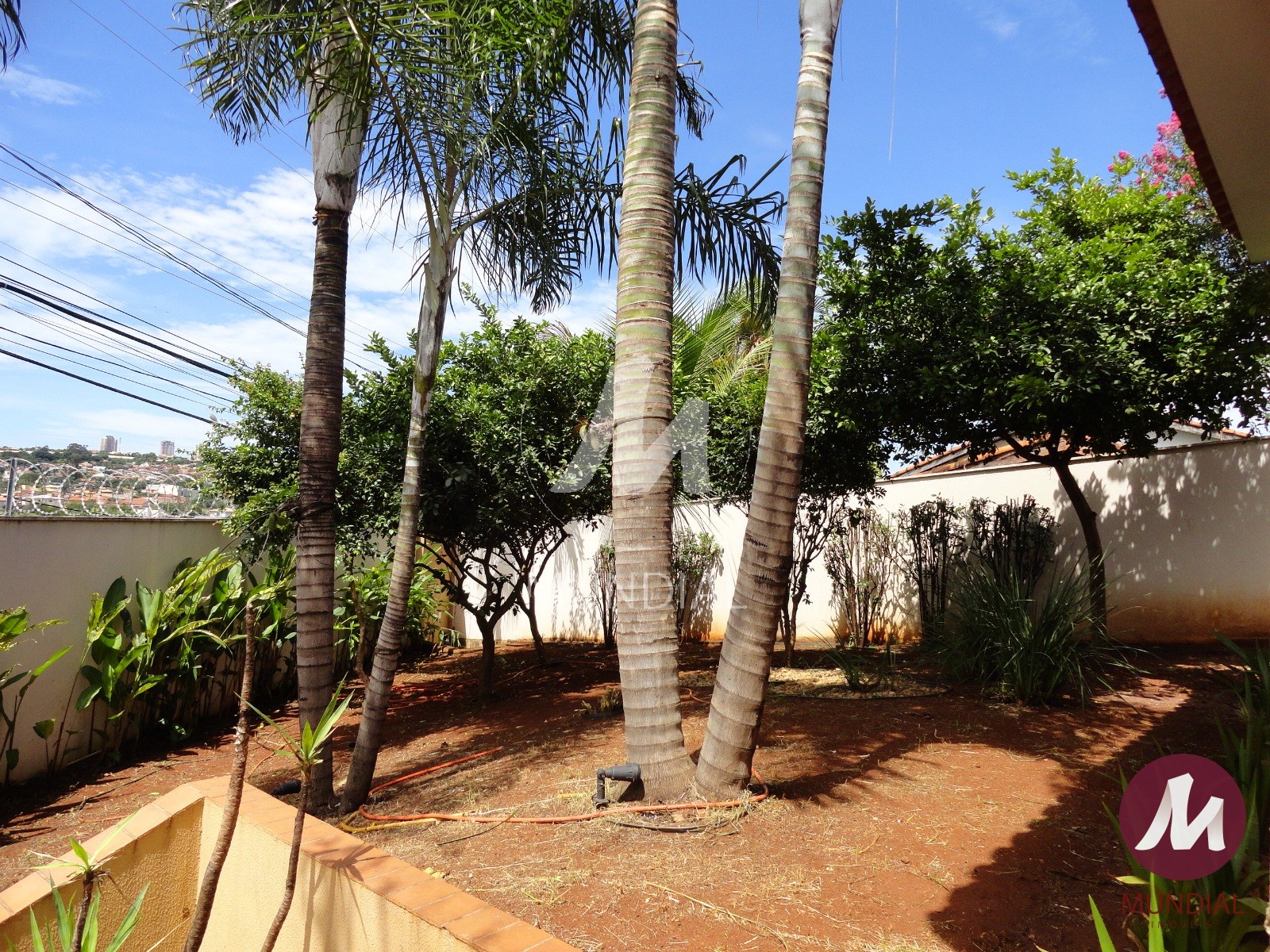 Jardim — foto 42