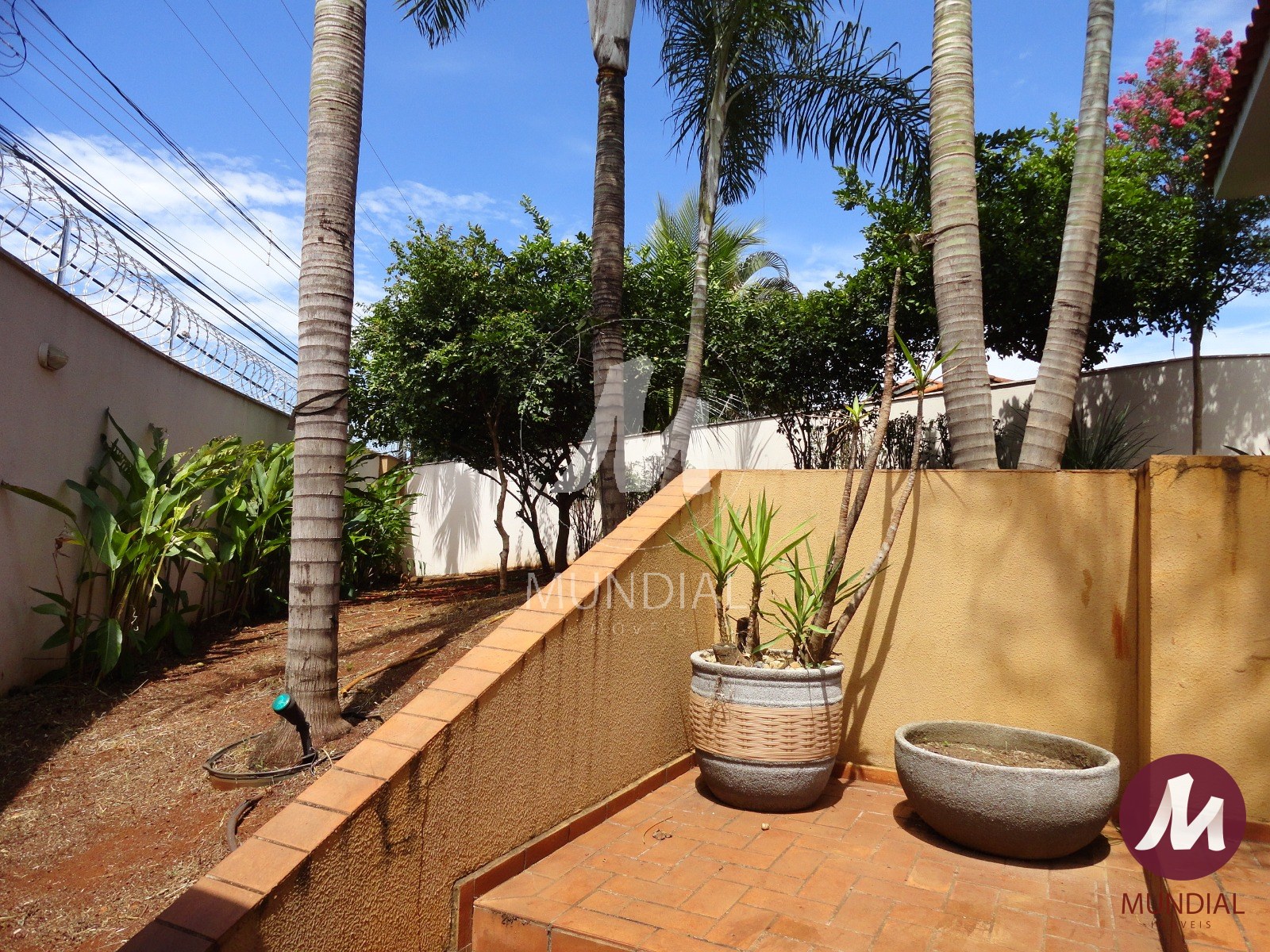 Jardim — foto 43