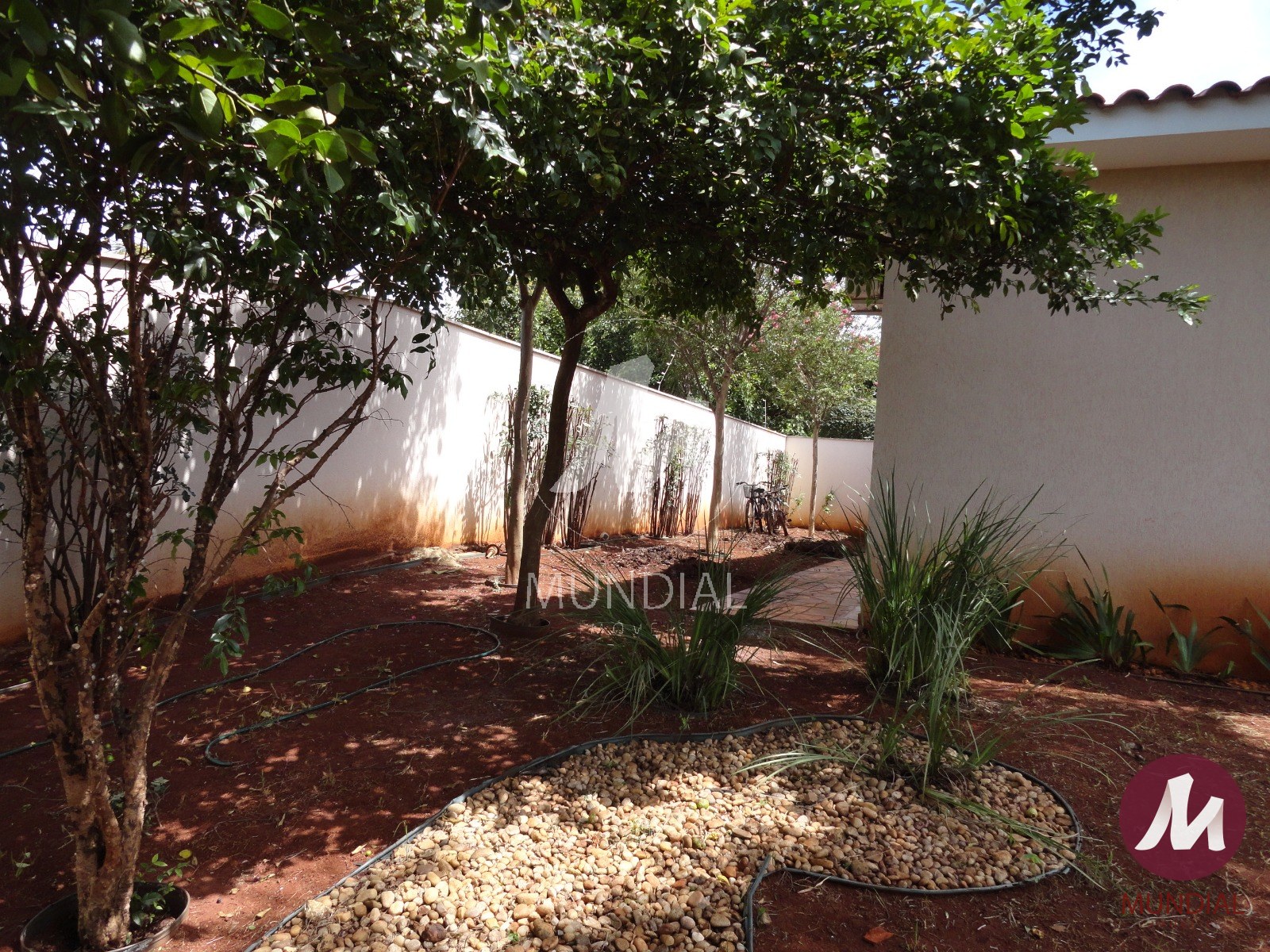 Jardim — foto 44