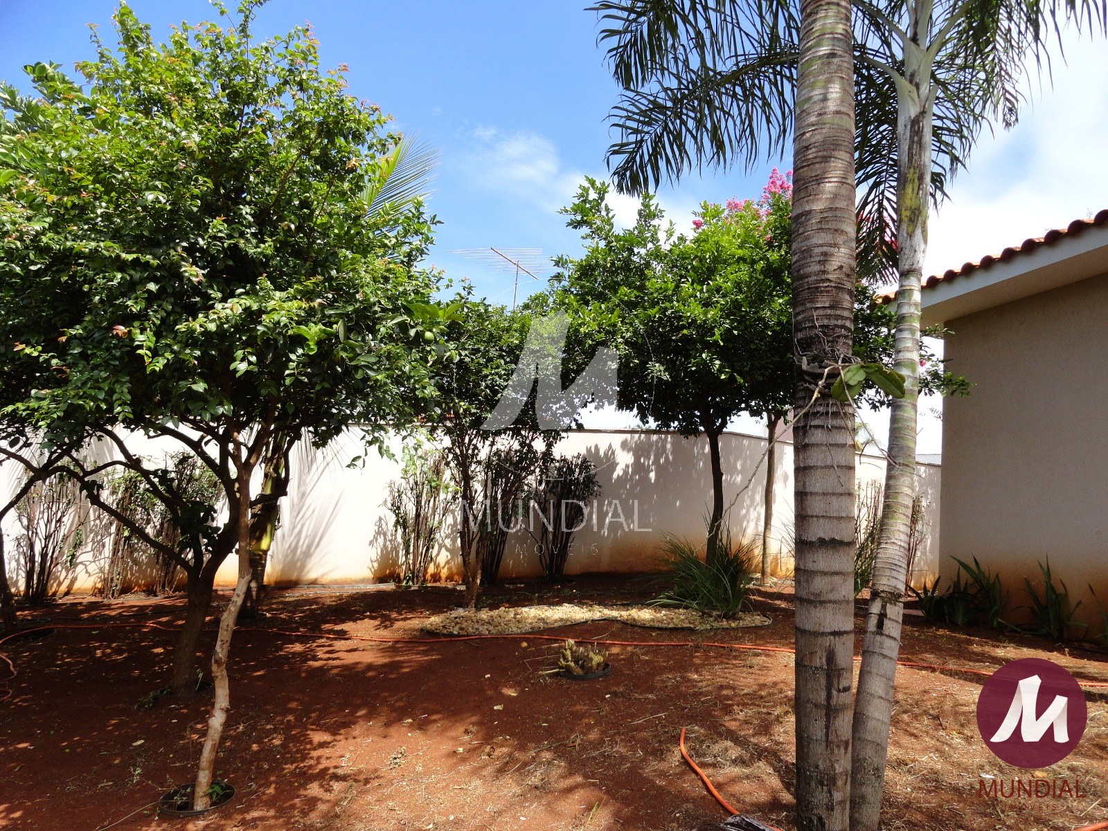 Jardim — foto 45