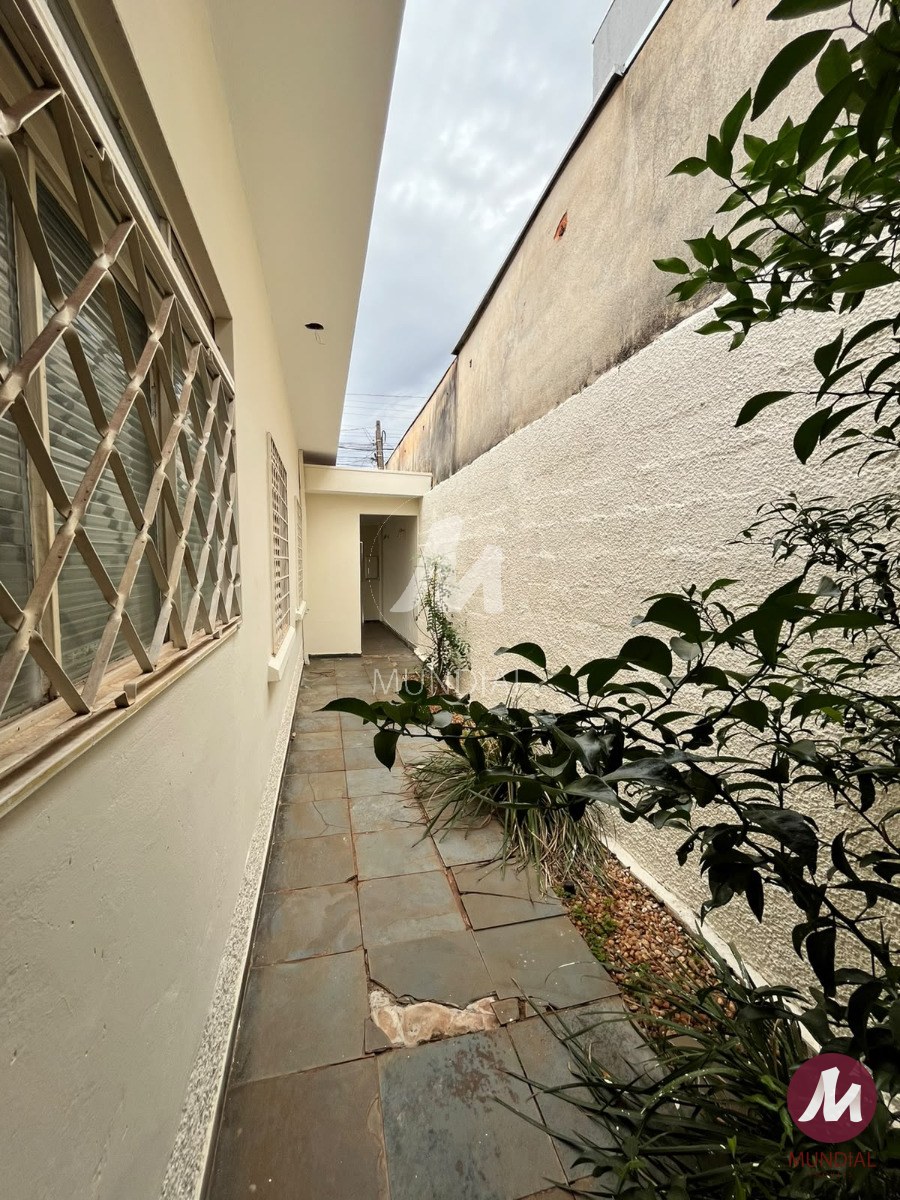 Quintal/corredores — foto 4