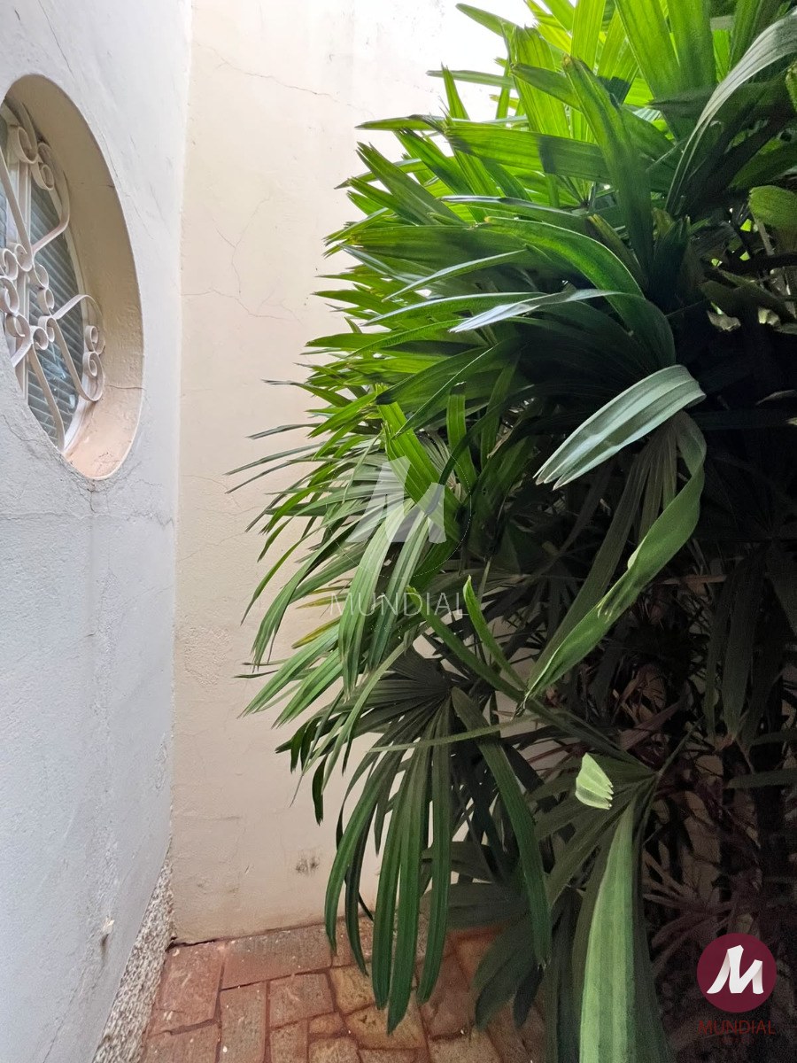 Jardim — foto 19