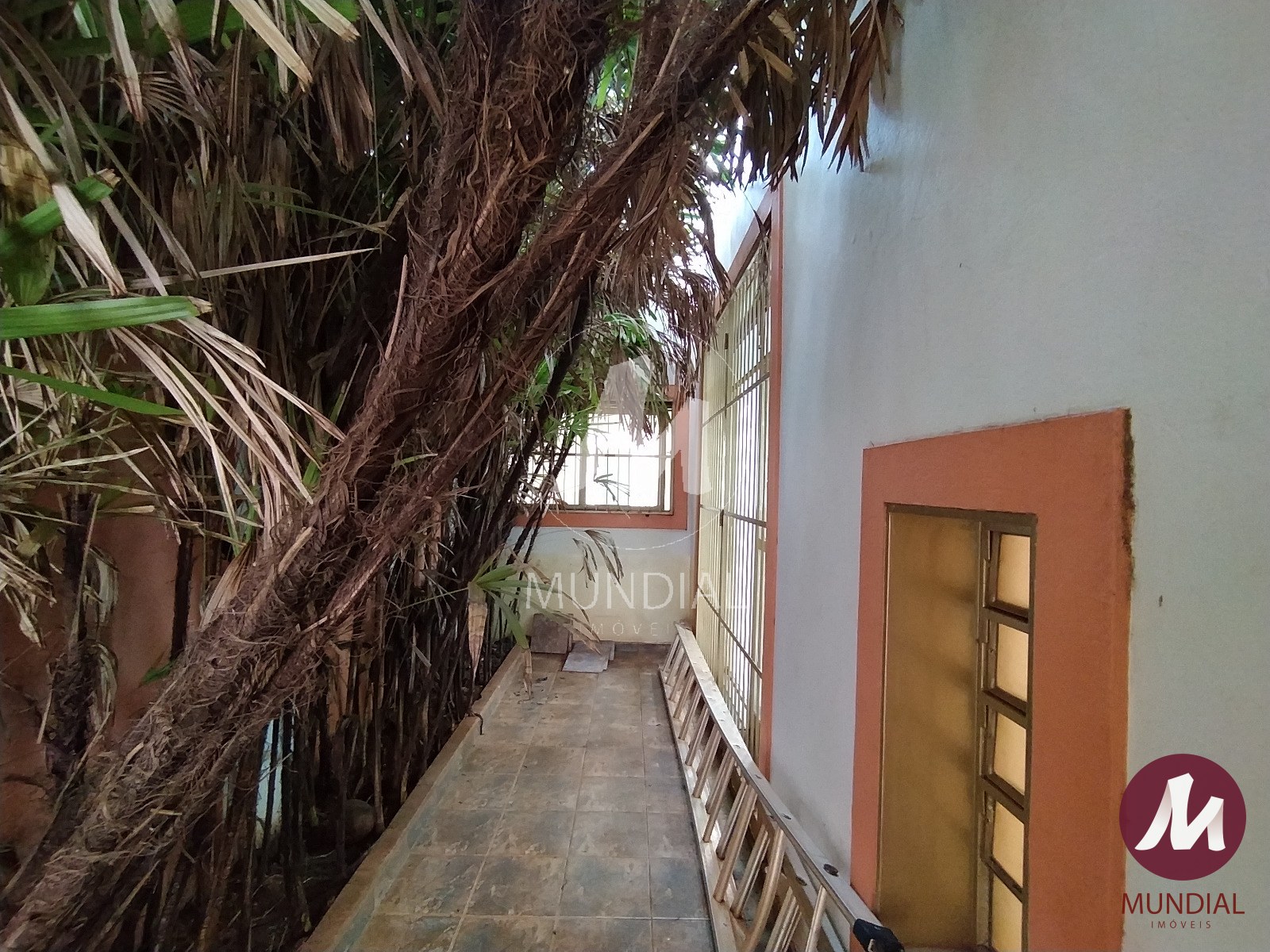 Quintal/corredores — foto 30