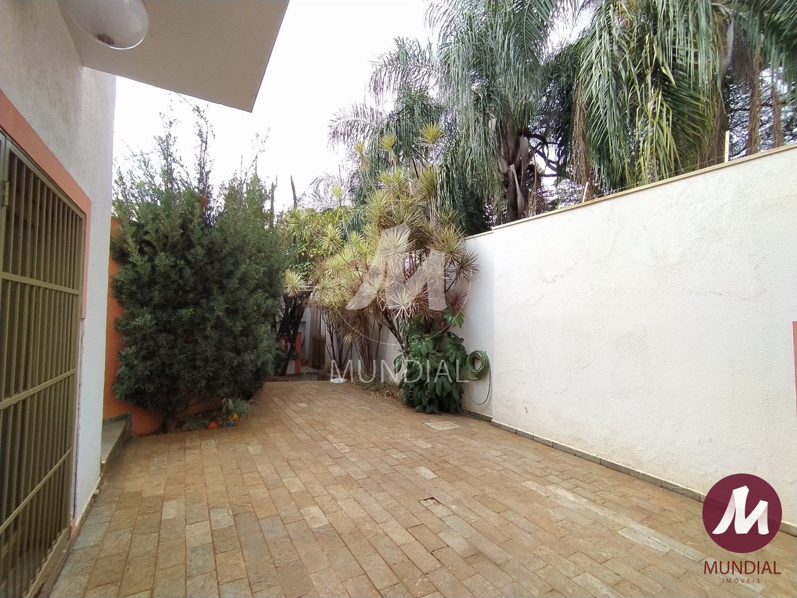 Jardim — foto 31