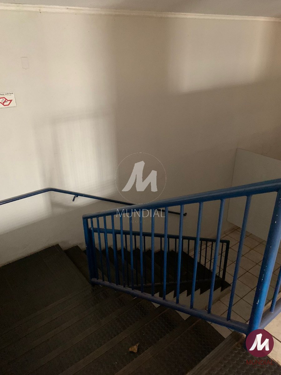 Outras — foto 11