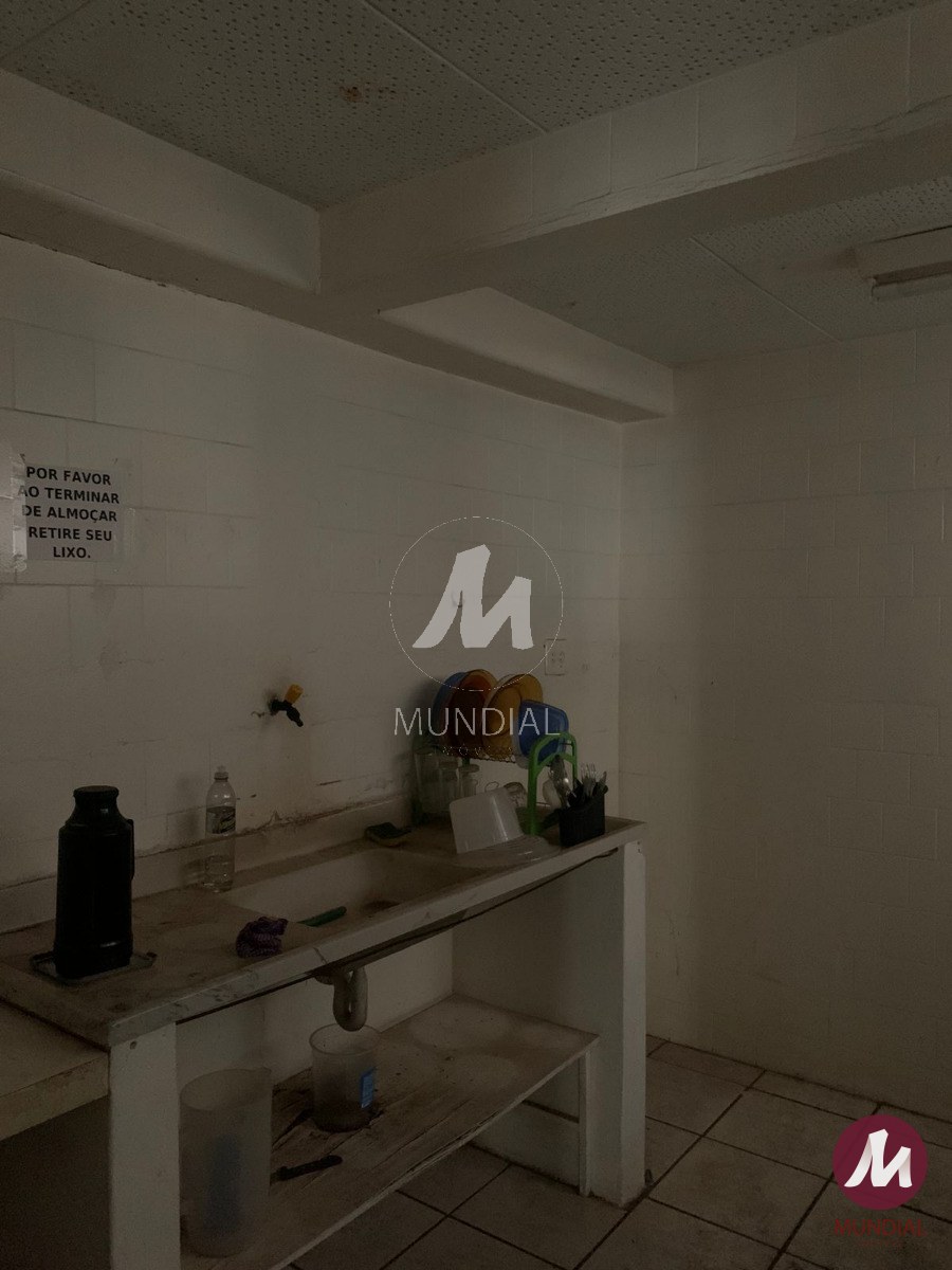 Copa — foto 13