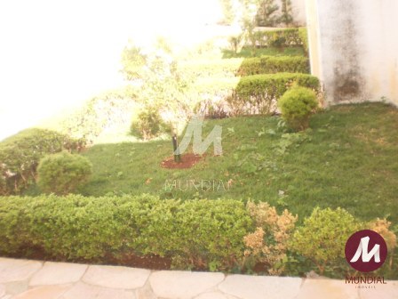 Jardim — foto 12