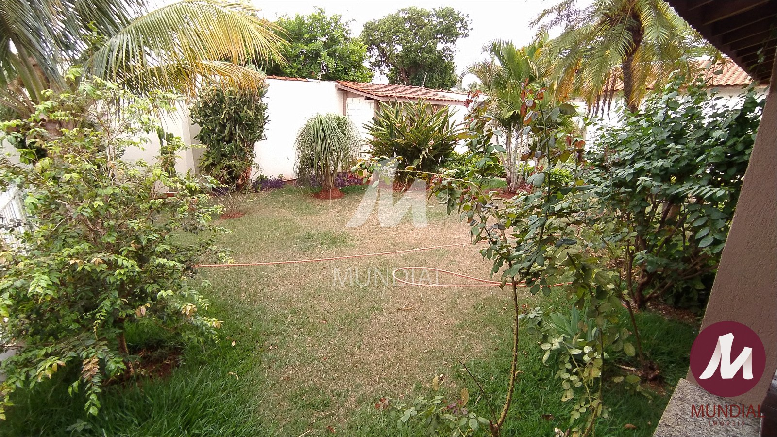 Jardim — foto 5
