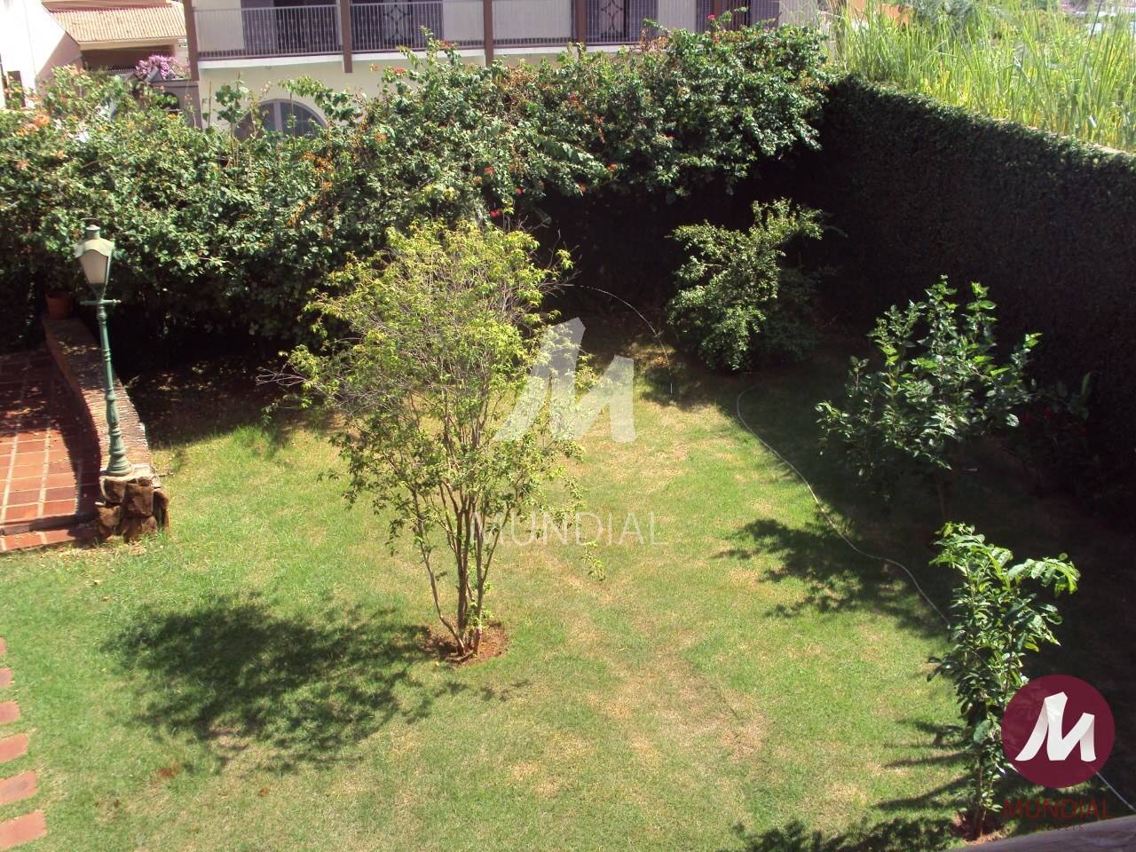Jardim — foto 3