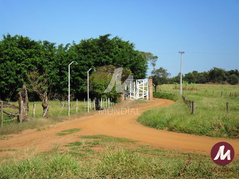 Outras — foto 2