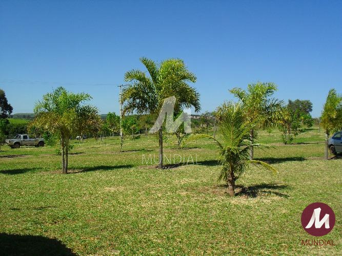 Outras — foto 15