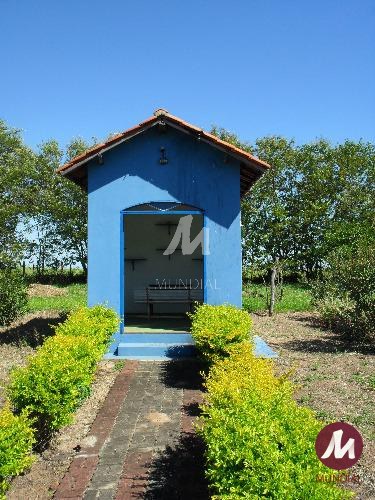 Outras — foto 20