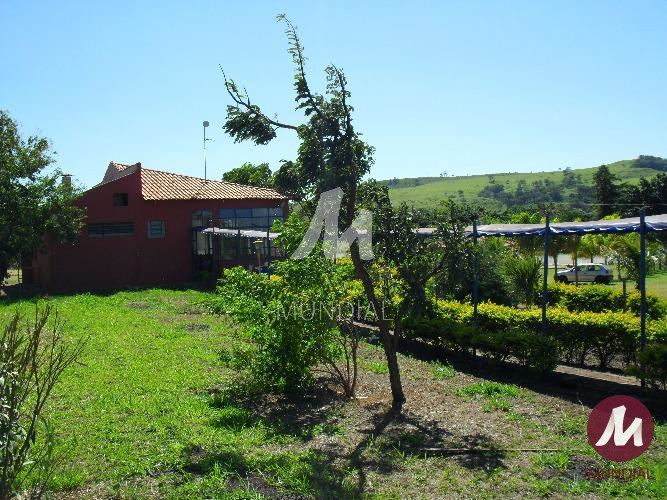 Quintal/corredores — foto 23
