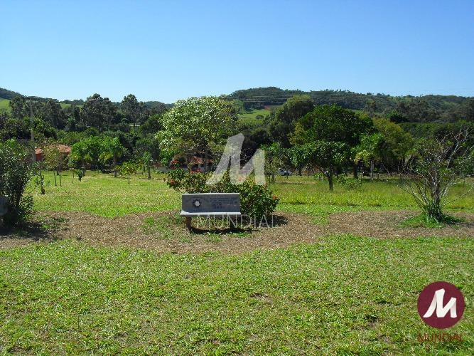 Quintal/corredores — foto 27