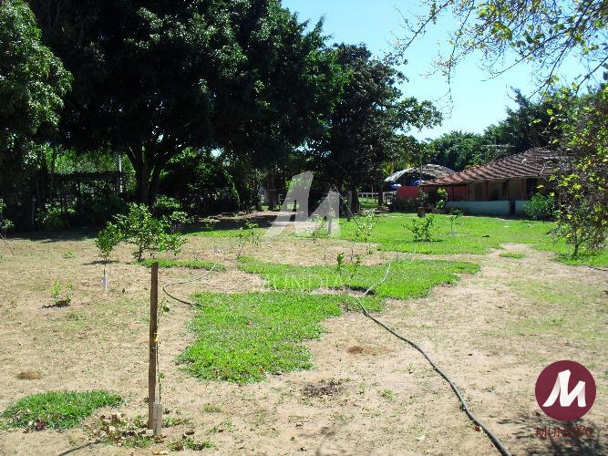 Quintal/corredores — foto 32