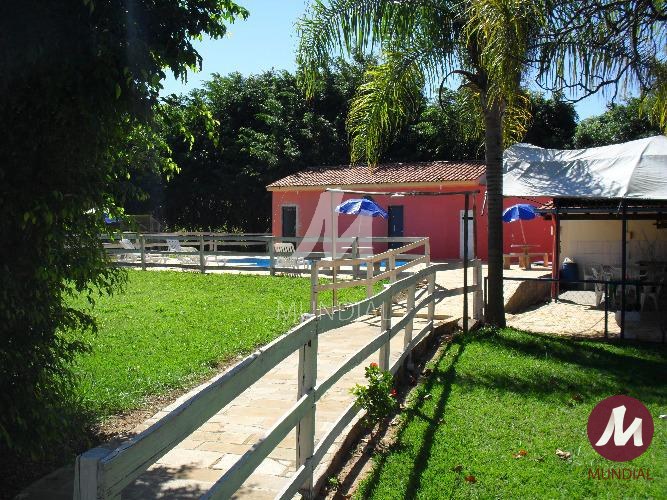 Quintal/corredores — foto 33