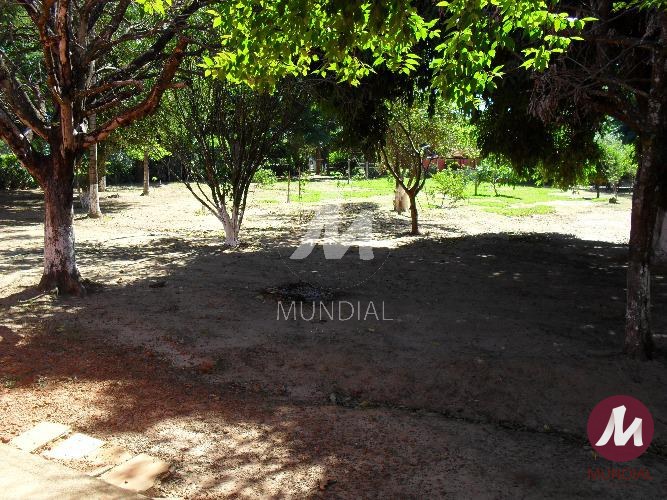 Quintal/corredores — foto 38