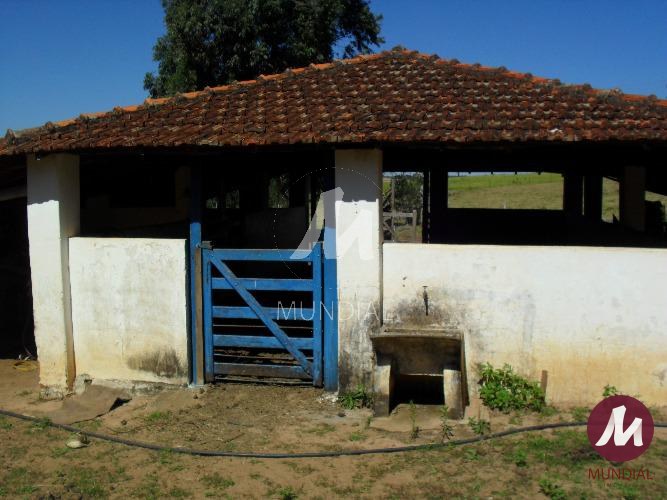 Outras — foto 40