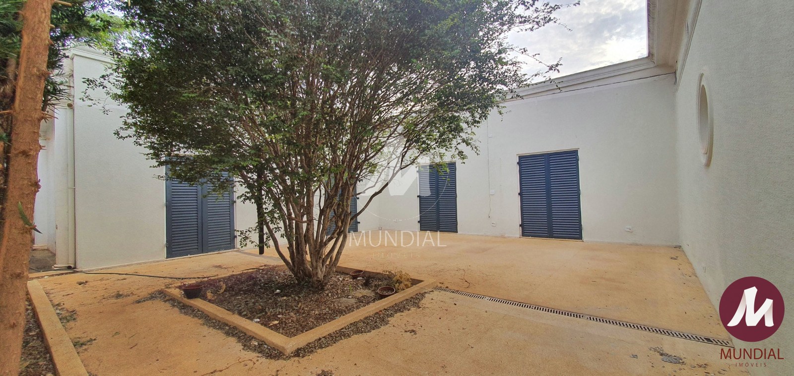 Quintal/corredores — foto 18