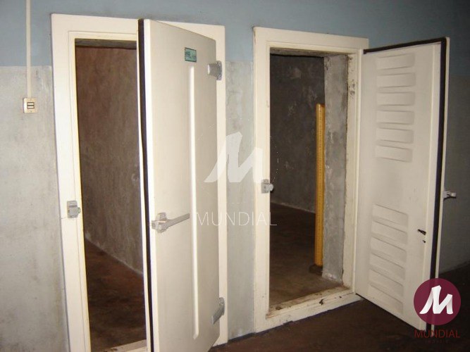Outras — foto 12