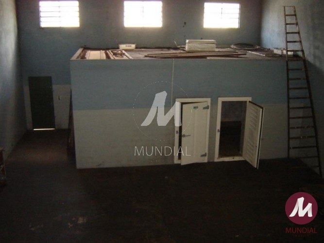 Outras — foto 19