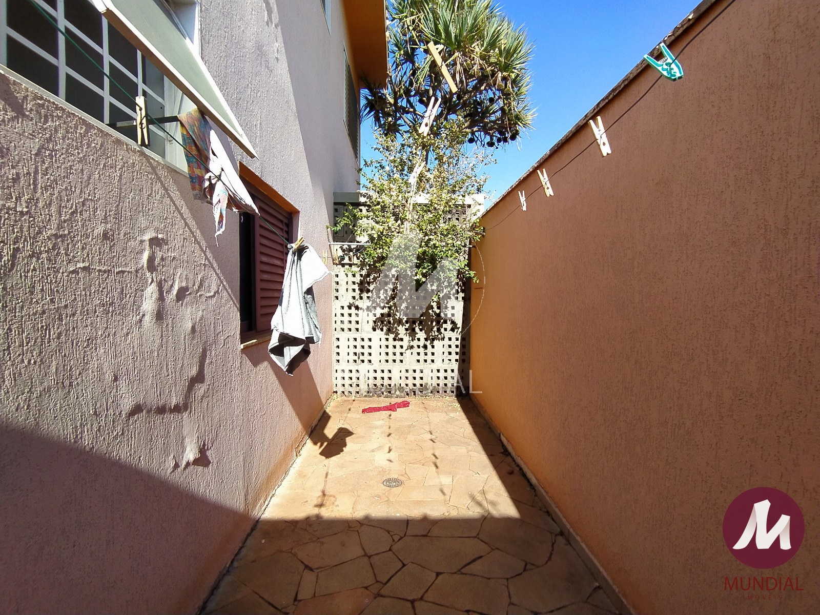 Quintal/corredores — foto 17