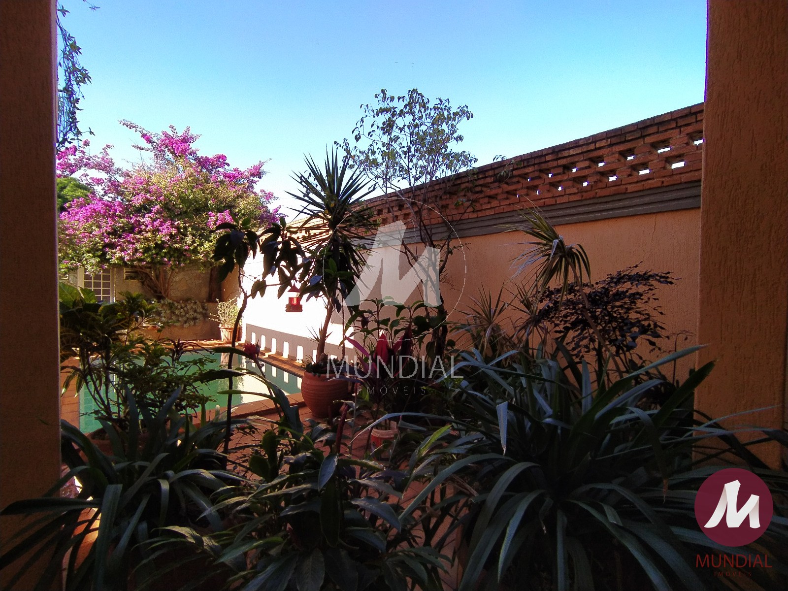 Jardim — foto 38