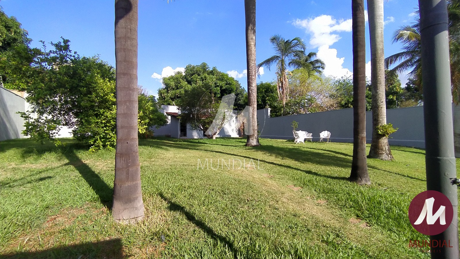 Jardim — foto 40