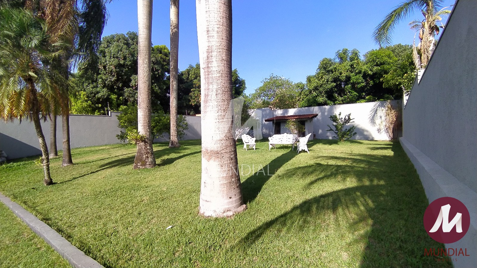 Jardim — foto 41